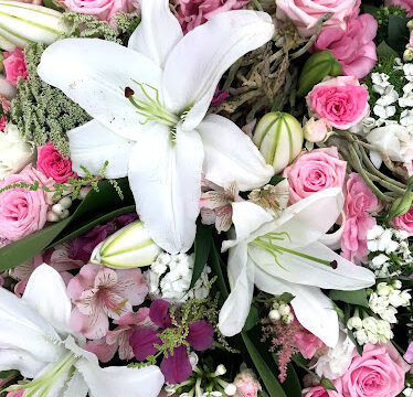 MAISON POSTULKA FLEURS