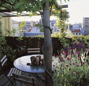 Les jardins d’Alex