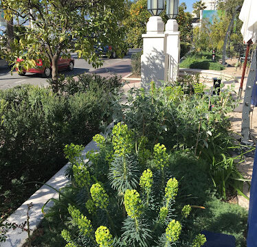 Nazarian Green Spaces