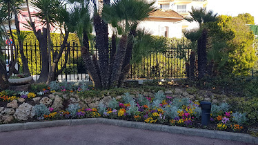 Azur Jardins Créations